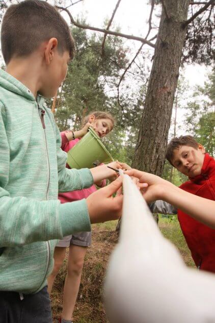 Wycieczki szkolne w Katowicach