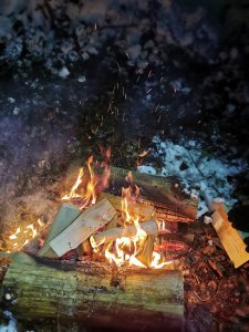 Survival dla rodzin - ferie 2025